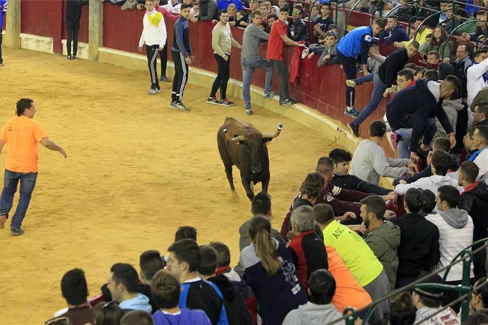 Mejores momentos de las Vaquillas