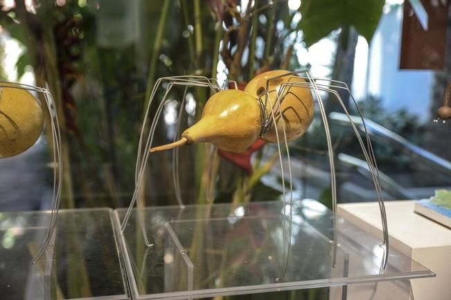 Exposición 'Calabazas para el agua'