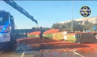 Un camión vierte más de 15.000 kilos de tomates en la carretera SE-20 de Sevilla
