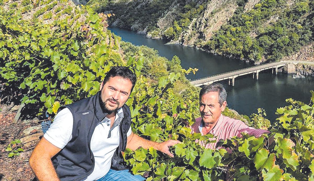Diego y Emilio Rodríguez, propietarios de la bodega y del vino premiado