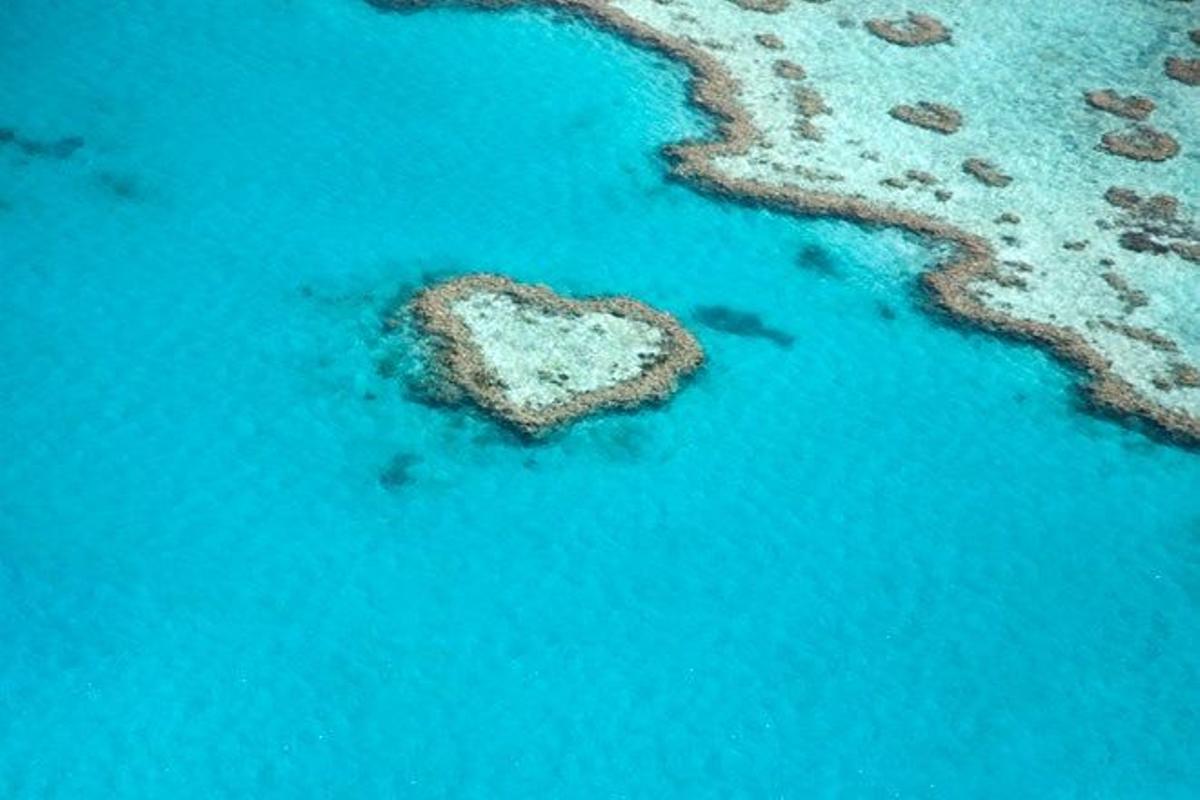 Arrecife Corazón