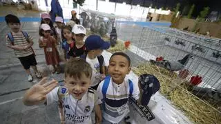El anticipo de la Feria de San Antonio en Gijón: 796 escolares felices entre animales