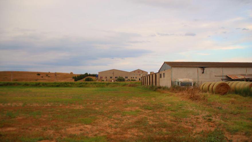 Aniria ubicat entre la zona de les Corts i el Camp dels Pilans i Viladamat