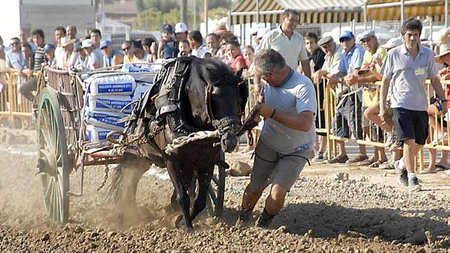 Imagen de la pasada edición de la Feria de Ganado de Dolores.