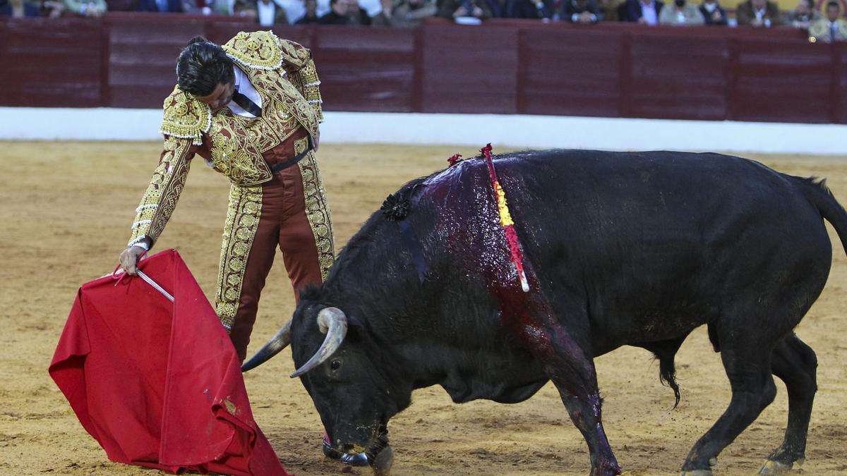 Morante de la Puebla da un pase con la muleta este sábado en Olivenza.