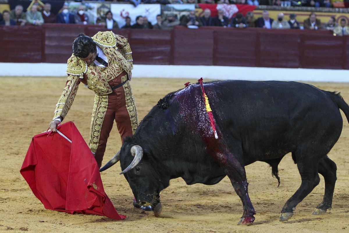 Morante de la Puebla da un pase son la muleta este sábado en Olivenza.