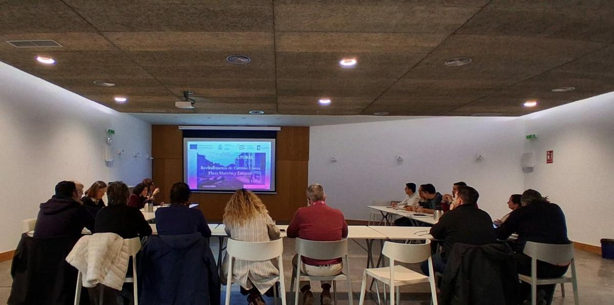 Un instante de la sesión del Consejo de Participación.