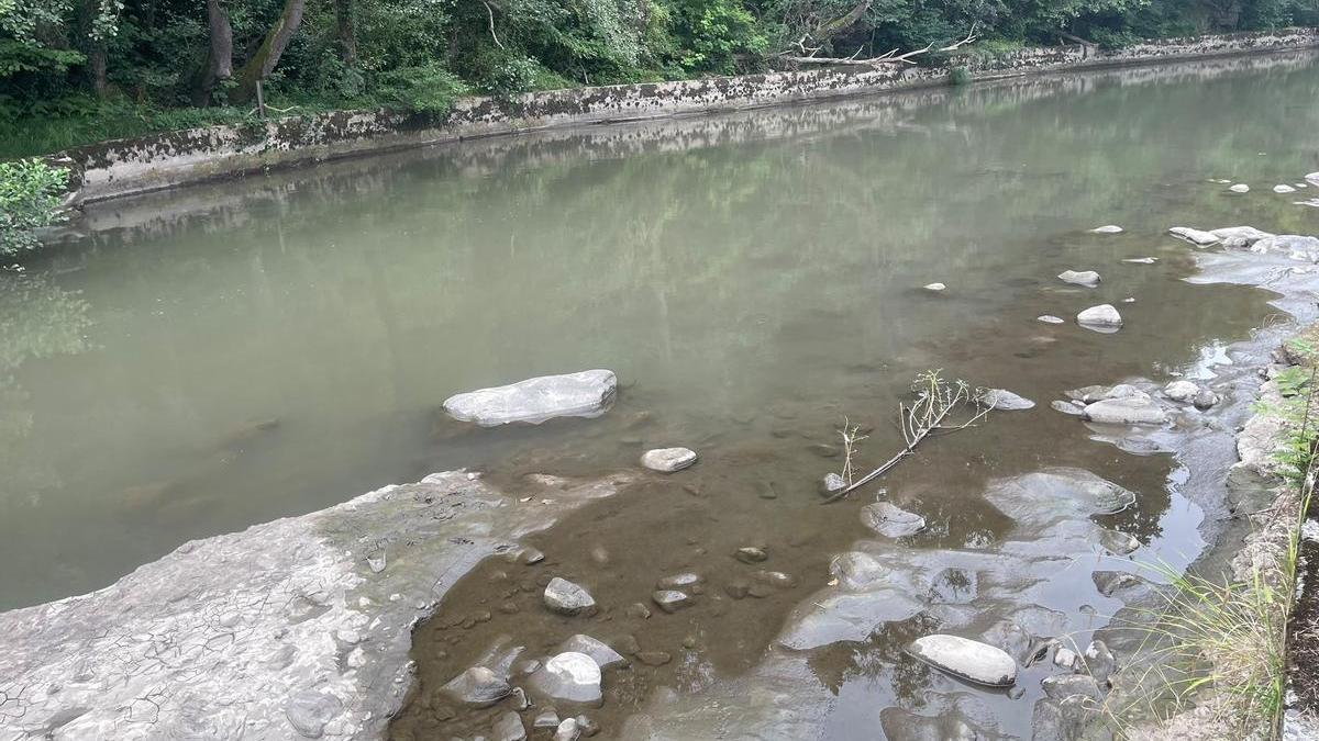 Río Narcea a su paso por Cangas del Narcea.