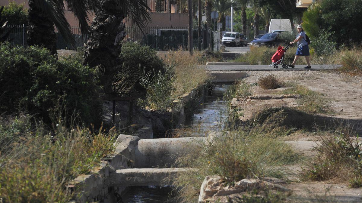 La autopsia confirma que la funcionaria de Elche fue estrangulada por la espalda