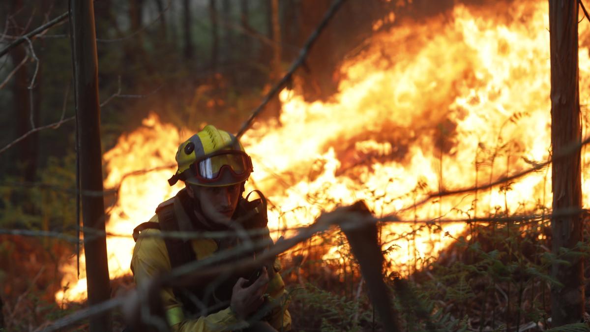 Un bombero lucha contra uno de los incendios del concejo de Valdés, en la zona de La Venta