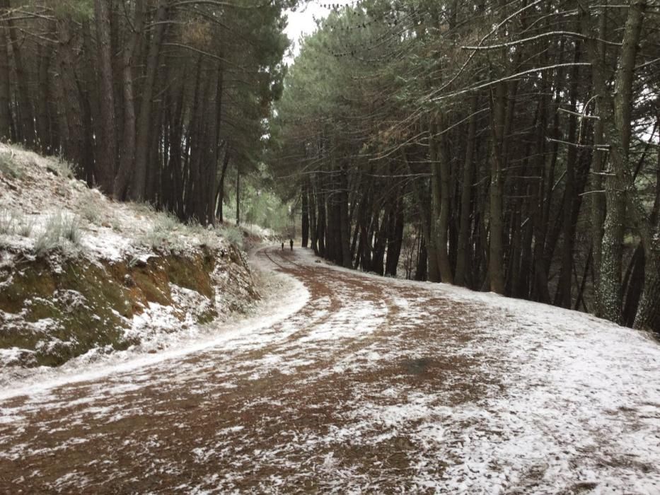 Primeras nieves de 2017 en la provincia de Málaga