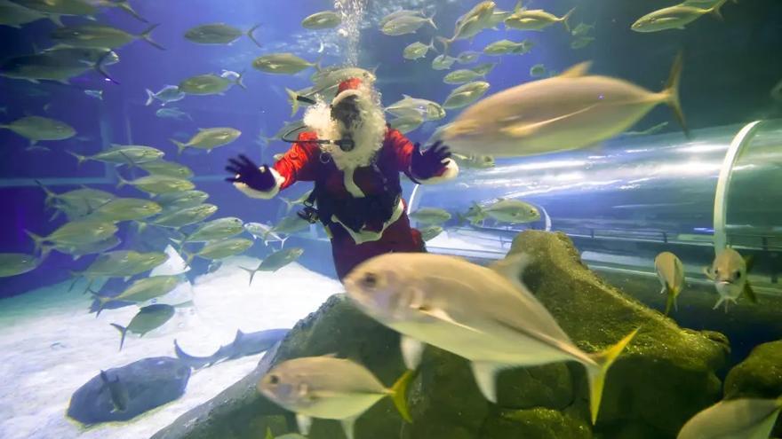 Papá Noel saluda a los visitantes del Acuario de Río sumergido en el tanque de tiburones