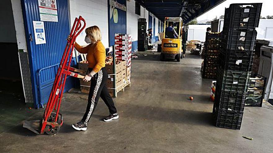 Una empleada trabajando en los almacenes de Mercamálaga