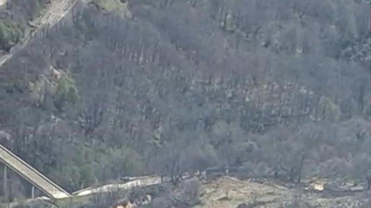 Extinguido un incendio intencionado que ha movilizado medios aéreos y terrestres en Hermisende