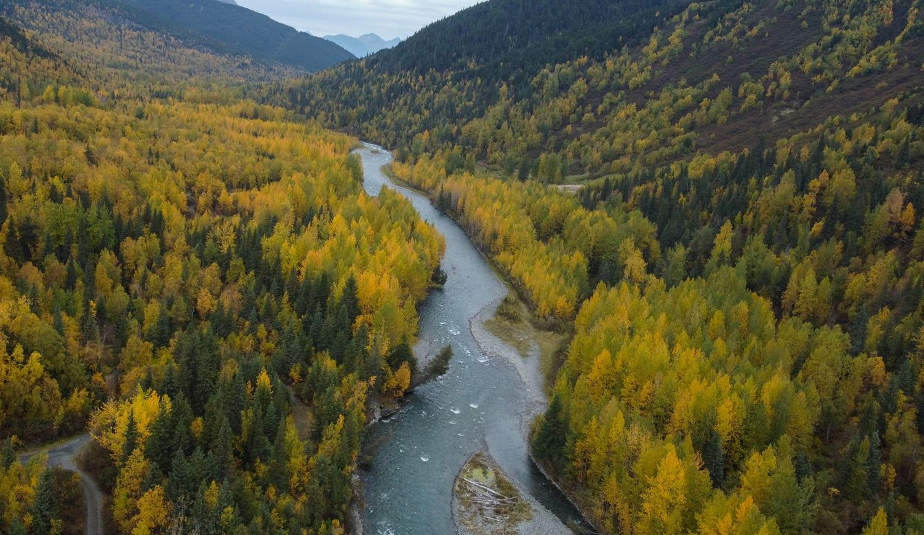 Los ríos de Alaska contaban con unas aguas excepcionalmente puras.