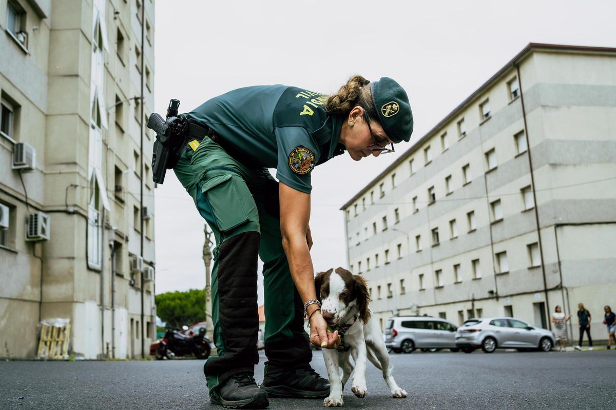 Laura Martín con el perro Kaiser, un springer spaniel
