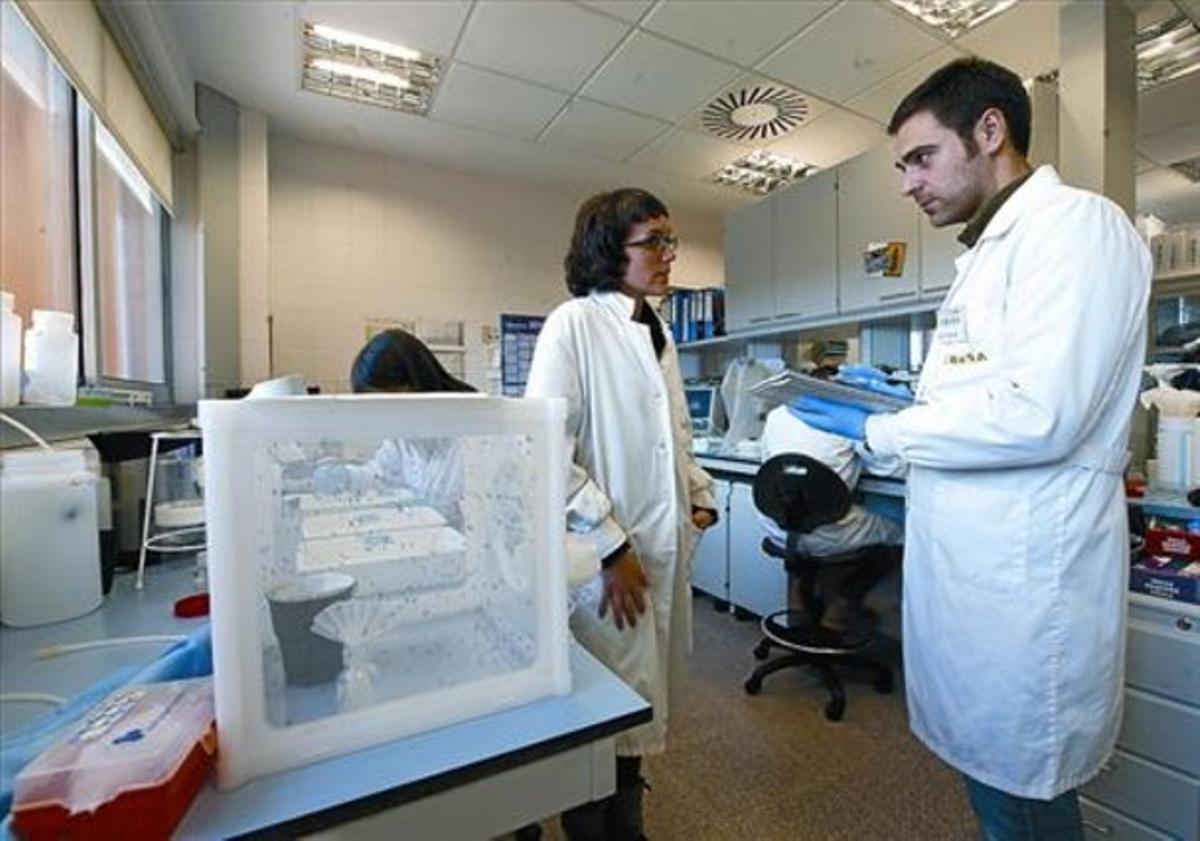 El científic Nitu Pagès, en un dels laboratoris del Cresa, al campus de la UAB a Bellaterra.