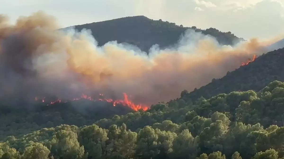 El incendio en el Desert evoluciona favorablemente: Siguen trabajando para controlarlo