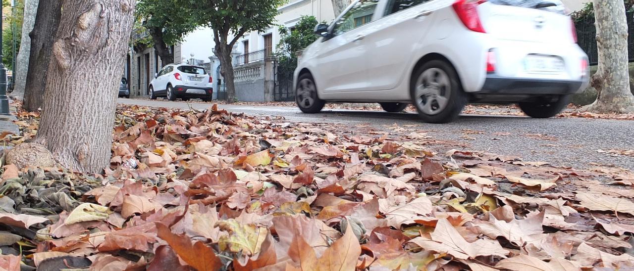 Sóller saca a concurso obras por valor de 1,7 millones