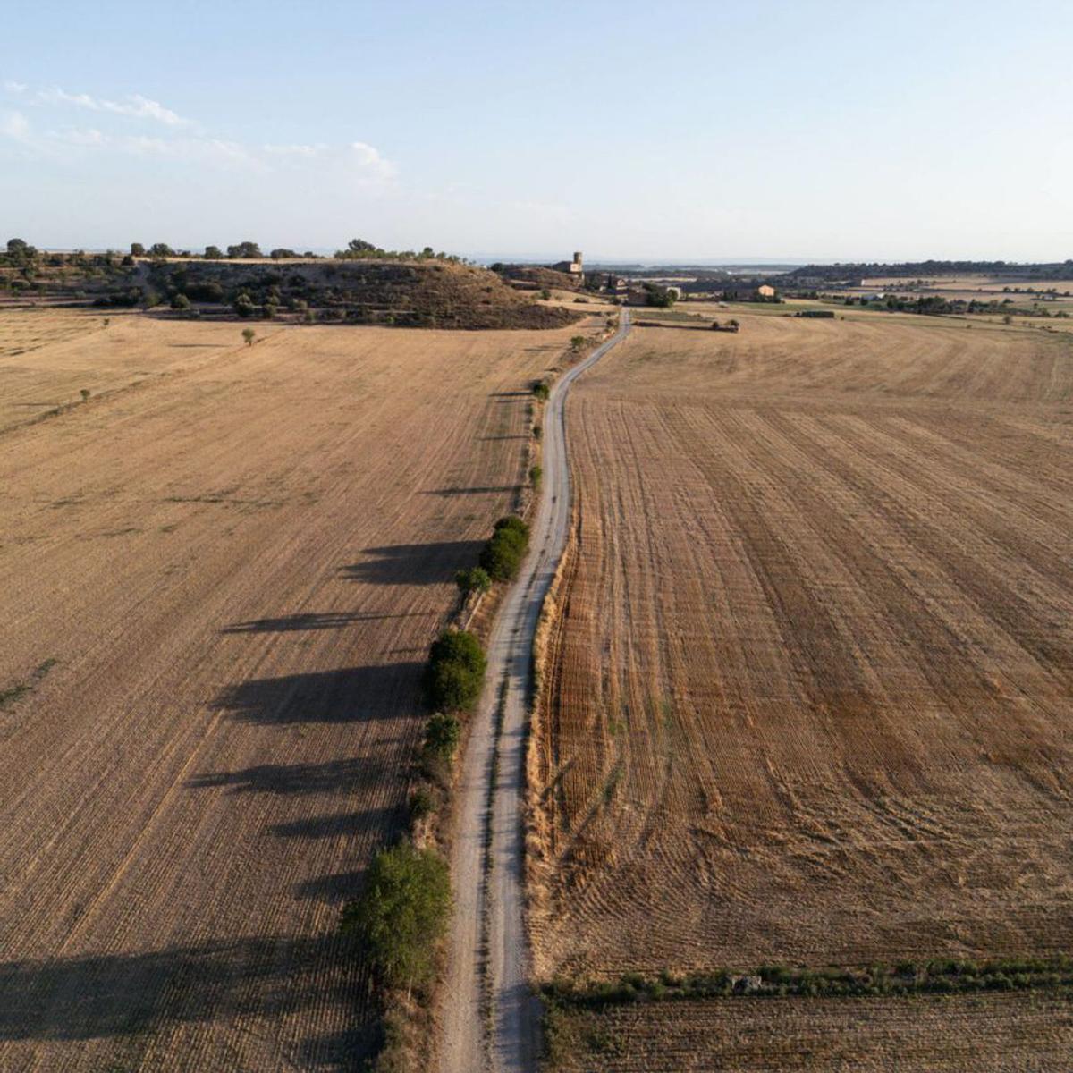 Ecologistes i el camp s’oposen al decret de renovables Ecologistes i el camp s’oposen al decret de renovables
