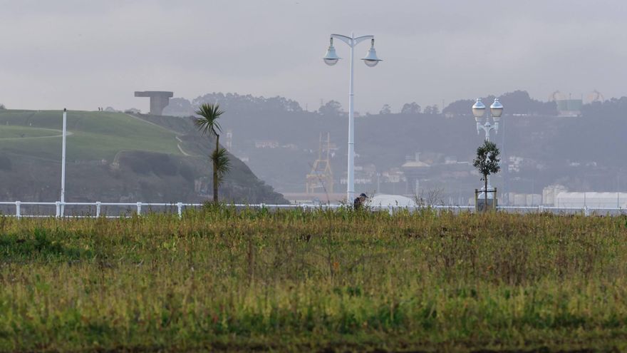 Urbanismo rechaza prolongar el plazo del concurso de la playa verde