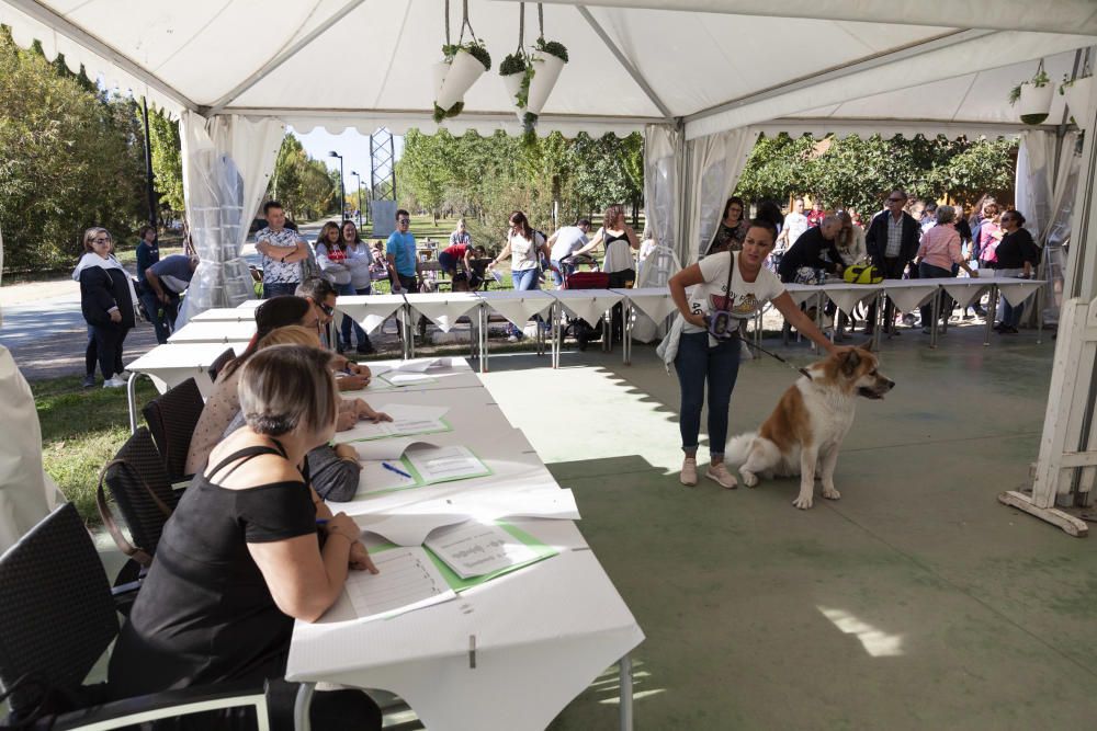 Zamora y sus perros "más guapos"