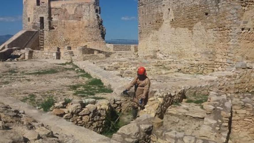 Limpieza en el castillo de Alcalà