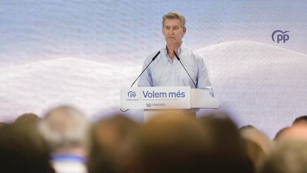 El líder del PP, Alberto Núñez Feijóo