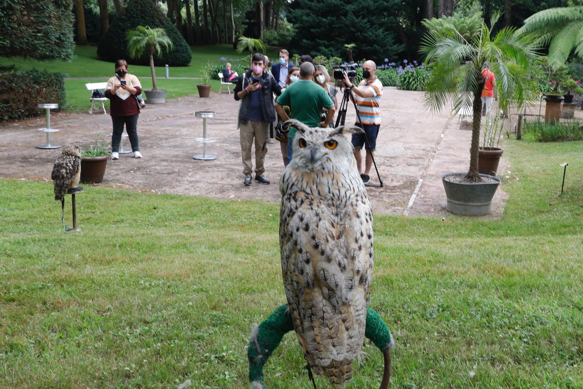 Los vuelos nocturnos de los búhos vuelven al Botánico de Gijón