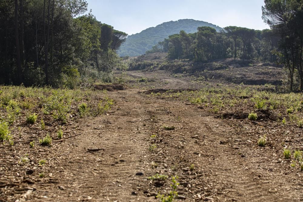 La plataforma Aturem la C-32 denuncia que la constructora segueix treballant