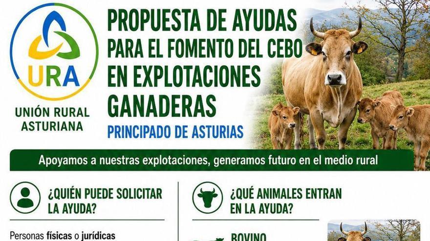 URA pide apoyo al cebo de bovinos y equinos