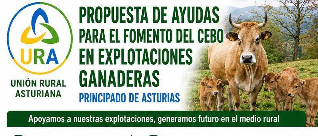 URA pide apoyo al cebo de bovinos y equinos
