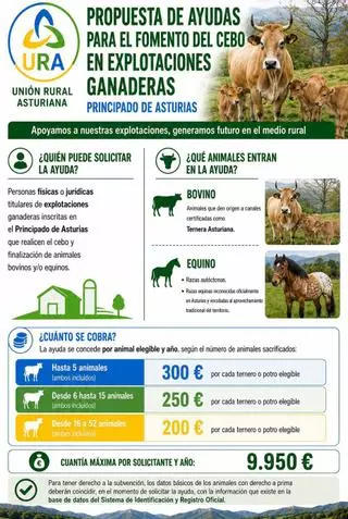 URA pide apoyo al cebo de bovinos y equinos