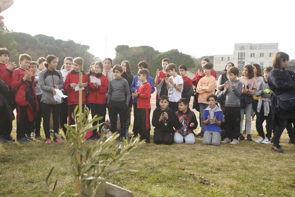 Debat de la Taula Gironina de Turisme