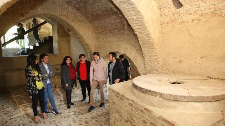 El Jardín Botánico organiza visitas guiadas a los molinos de Martos y San Antonio