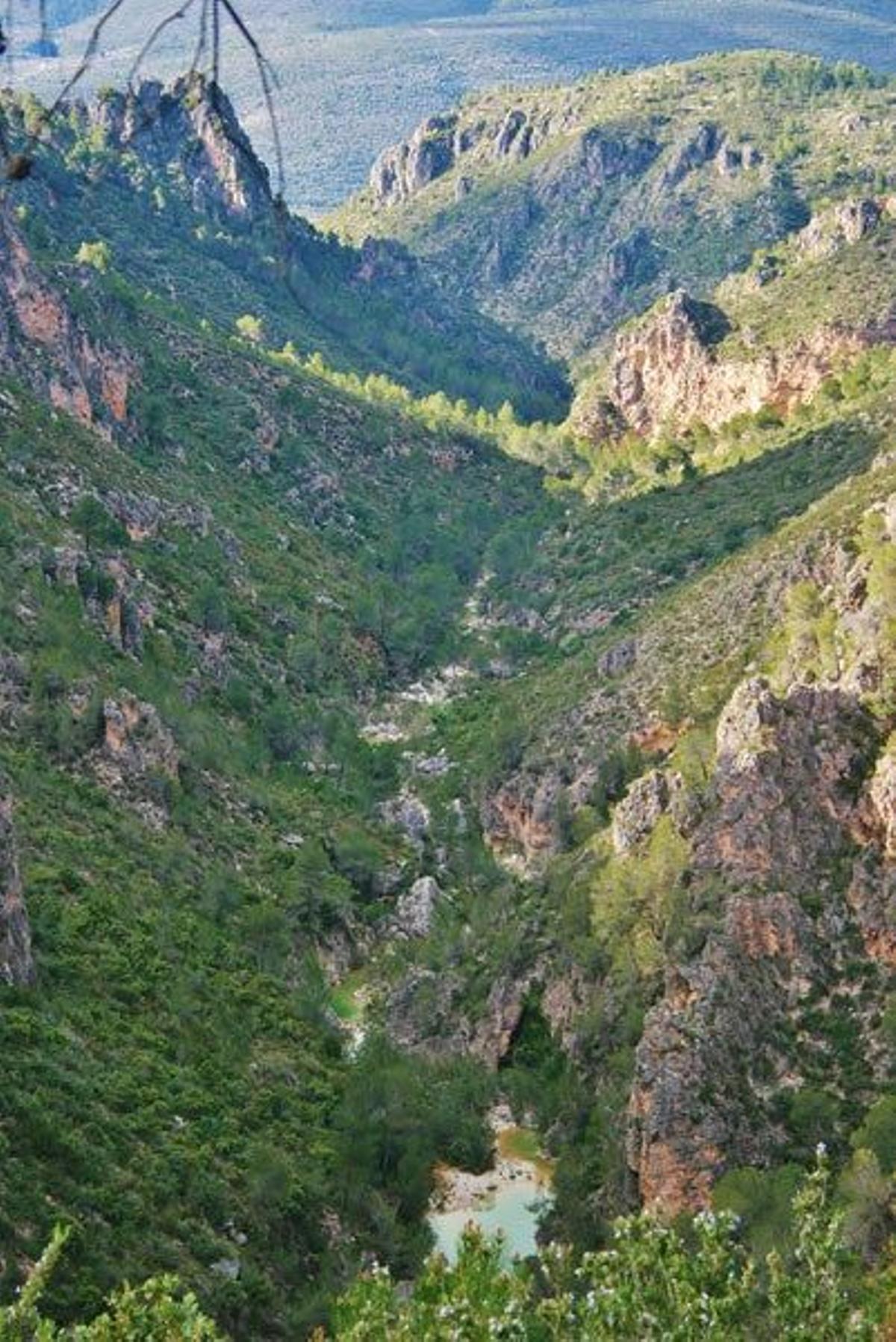 Cauce de agua en el barranco