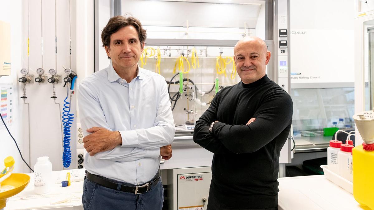José María Benlloch y Pablo Botella, científicos del i3M y del ITQ, centros de investigación mixtos del CSIC y la Politècnica de València.