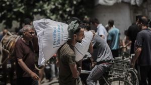 Un gazatí transporta ayuda humanitaria.