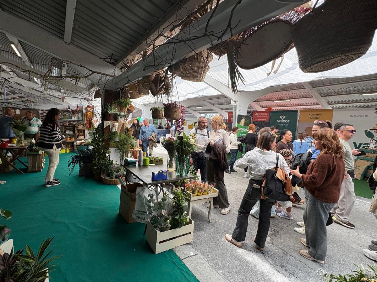 Lleno en el primer día de la Feria de Muestras de Tineo Lleno en el primer día de la Feria de Muestras de Tineo