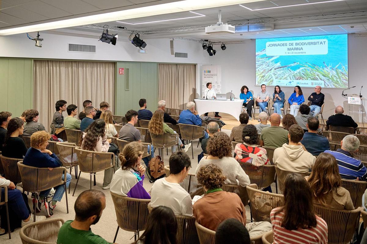 Expertos abogan por coordinar esfuerzos para la conservación de la biodiversidad marina