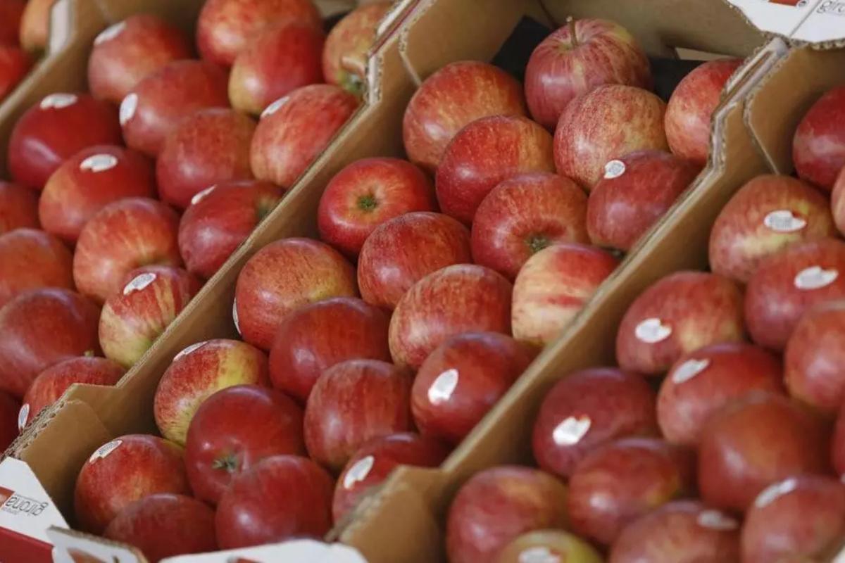 Varias cajas de manzanas vendidas en supermercados de España.