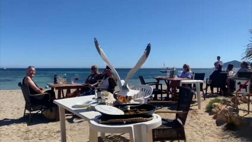 Una gaviota roba la comida de una mesa en un chiringuito de Ibiza