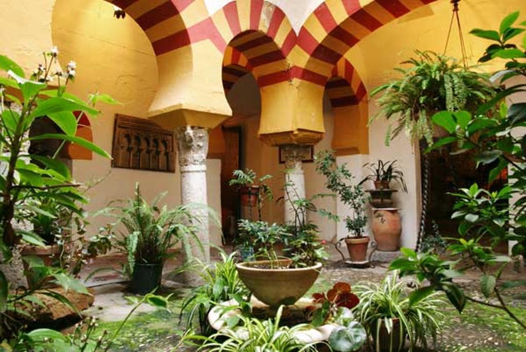 Durante doce días de mayo los visitantes acceden al interior de los patios para disfrutar de su belleza.