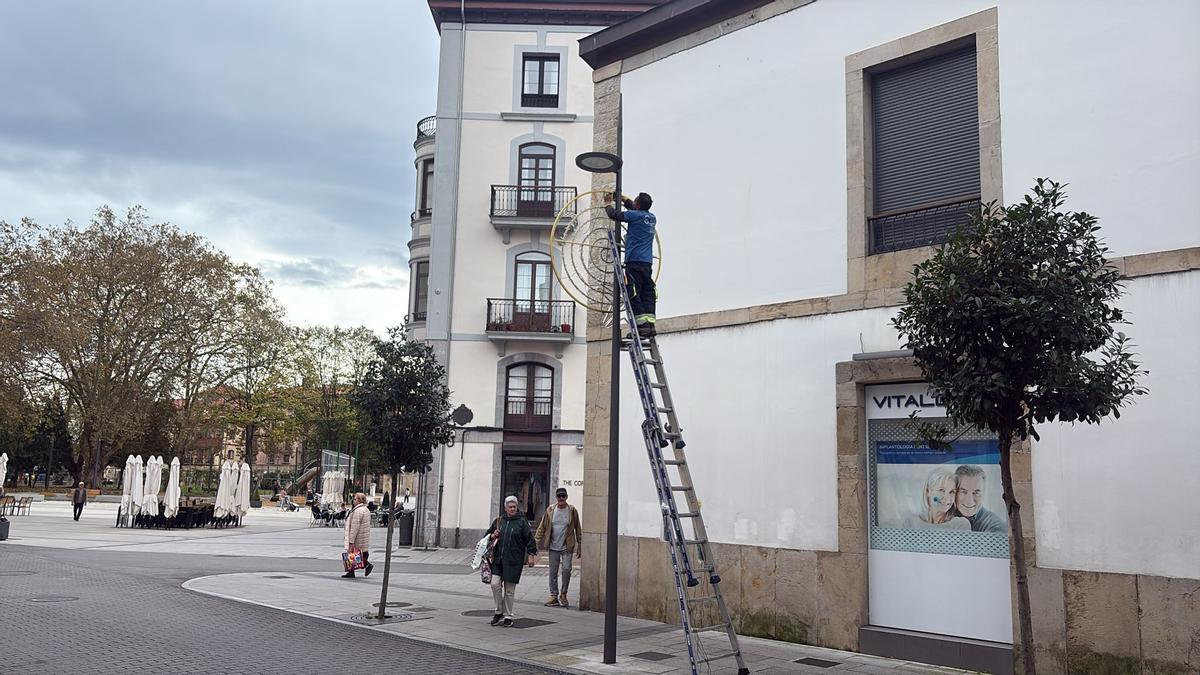 Instalación de alumbrado en Pedro Menéndez