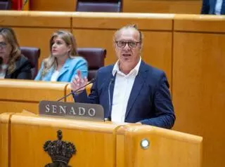 Los okupas de Ibiza se cuelan en un debate en el Senado
