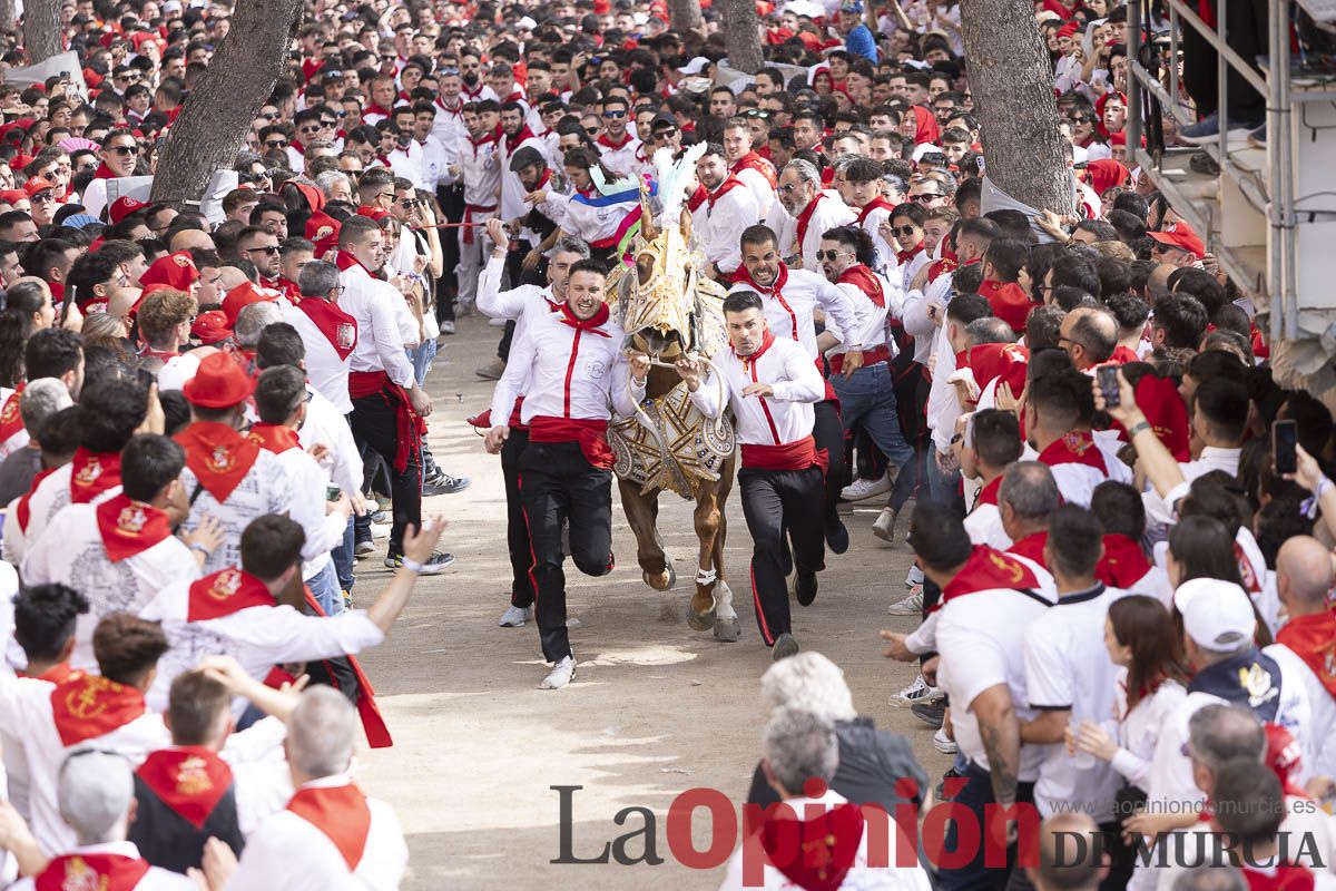 Así se ha vivido la carrera de Los Caballos del Vino en Caravaca
