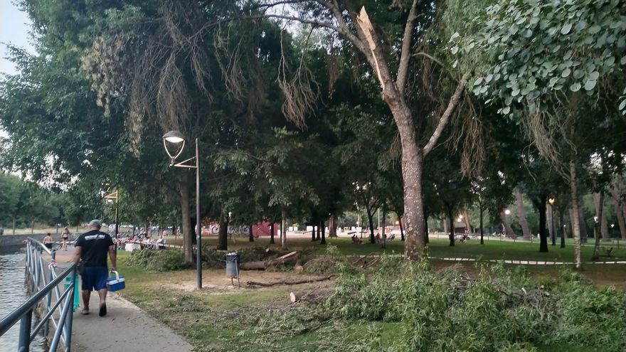 Vuelven a caer ramas en el parque de La Isla de Plasencia