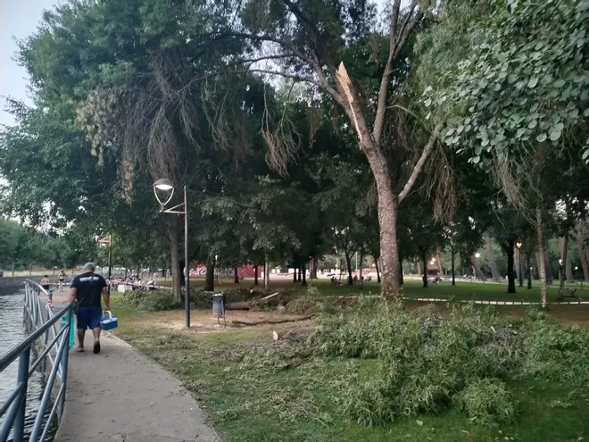Vuelven a caer ramas en el parque de La Isla de Plasencia