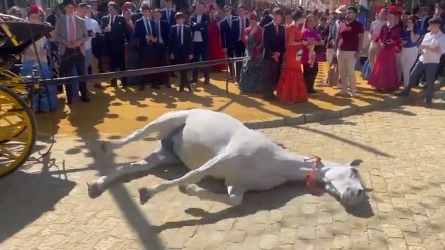 Imágenes sensibles | Muere un caballo durante la Feria de Sevilla