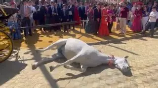 Imágenes sensibles | Muere un caballo durante la Feria de Sevilla